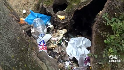 Yasağı delip ormanı kirlettiler