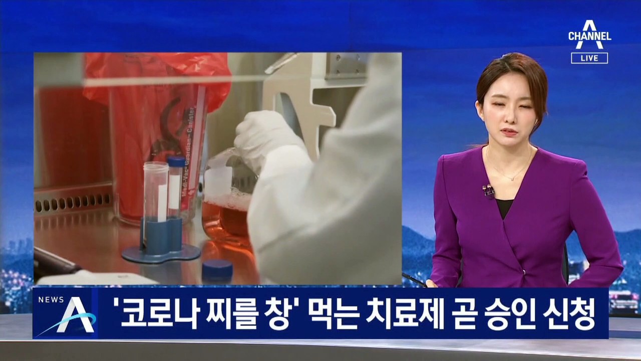 ‘코로나 찌를 창’ 먹는 치료제 곧 승인 신청…선구매 접촉 중