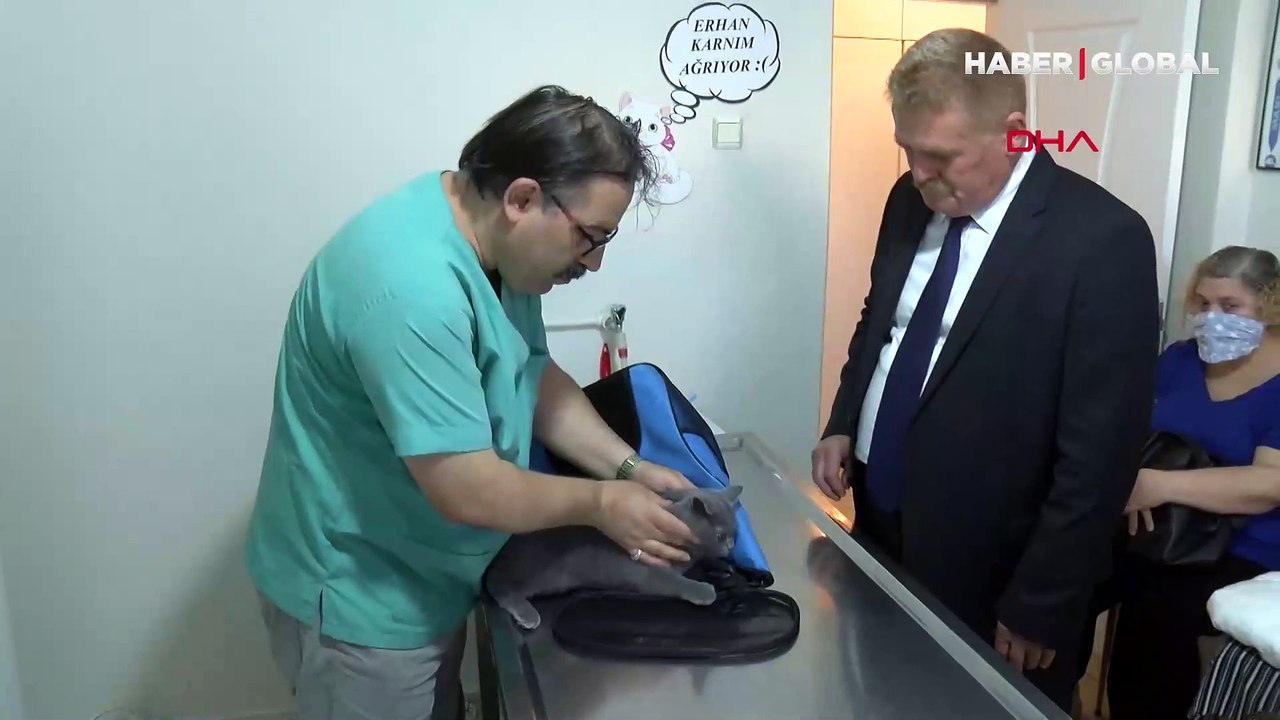 Veterinerler uyardı: Evcil hayvanlara mikroçip taktırmak için süre daralıyor, 10 bin lira cezası var