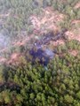 Menteşe'de yıldırım kaynaklı çıkan orman yangını kontrol altına alındı