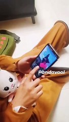 panda reels |panda funny video||panda comedy video#shorts #ytshorts