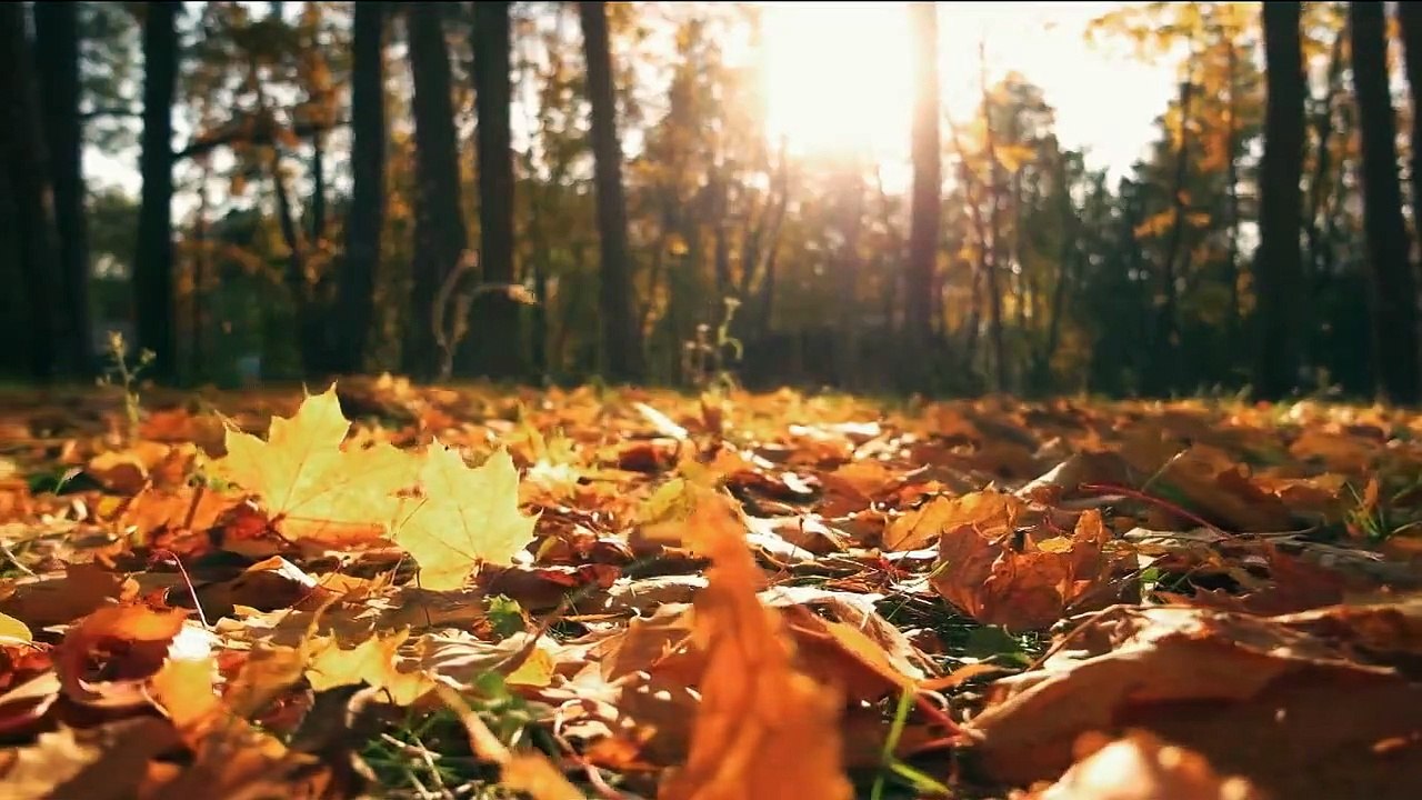Begegnungen mit dem Bösen - Ted Bundy