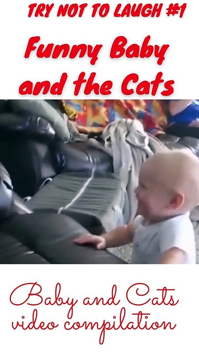 Try not to laugh #1 , Baby and the cats