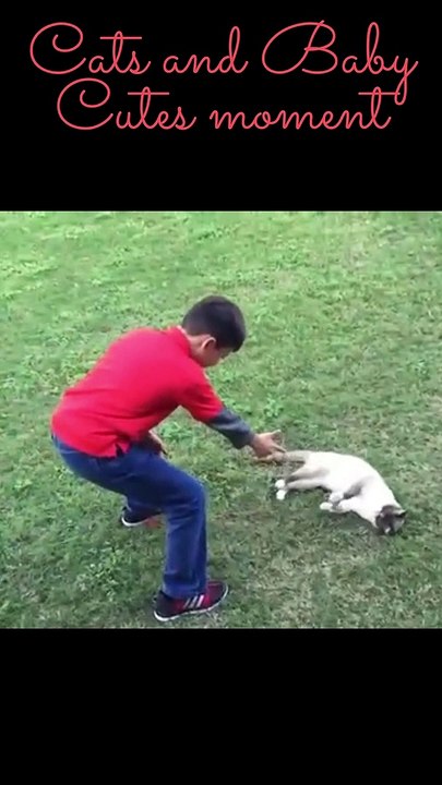 Try not to laugh #2 Kids and the cats