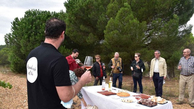 Cata de vino rosado y blanco en los viñedos de la Bodega Alfredo Santamaría