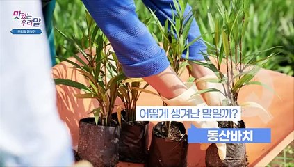 [맛있는 우리말] 10월 2일