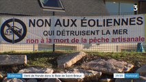 Côtes-d'Armor : à Saint-Brieuc, écologistes et habitants se battent contre un projet d'éoliennes