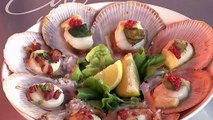 Qld scallop harvest ban for trawlers after steep decline in stock