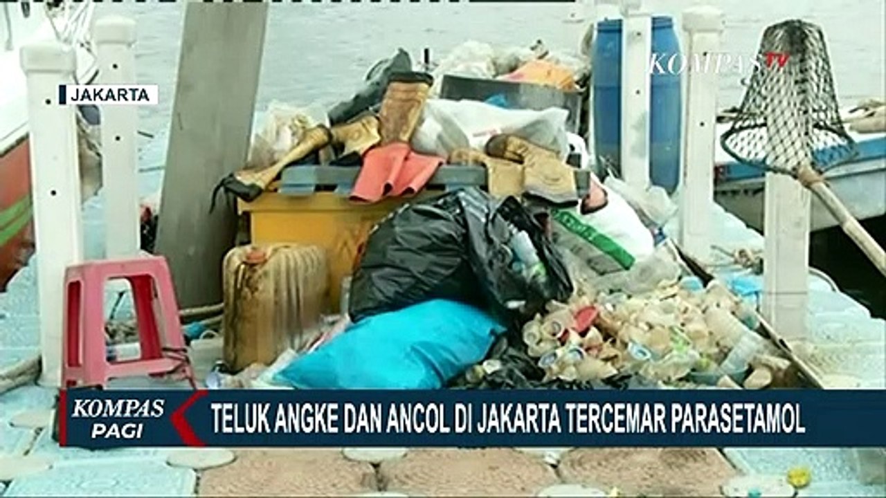 Diduga Tercemar, Dinas Lingkungan Hidup DKI Jakarta Ambil Sampel Air Laut