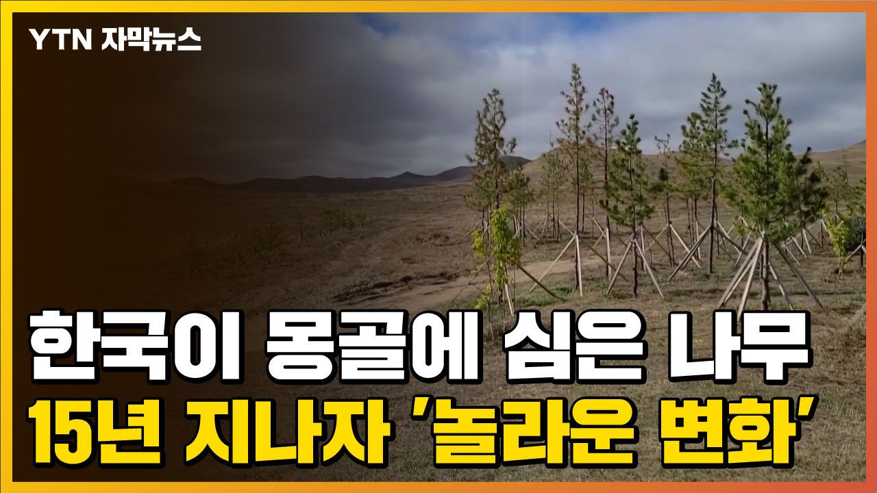 [자막뉴스] 한국이 몽골에 심은 나무...15년 지나자 '놀라운 변화' / YTN