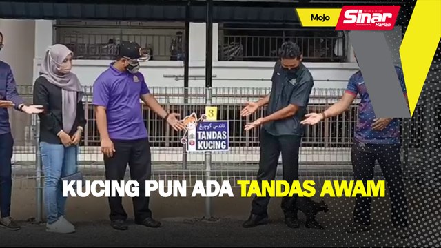 Kucing pun ada tandas awam