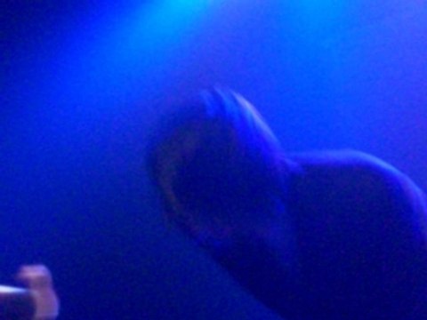 hushpuppies la cigale