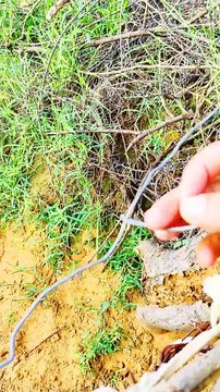 Landlord nitesh joshi at farm |agricultural vlog|crops | khet || part 4