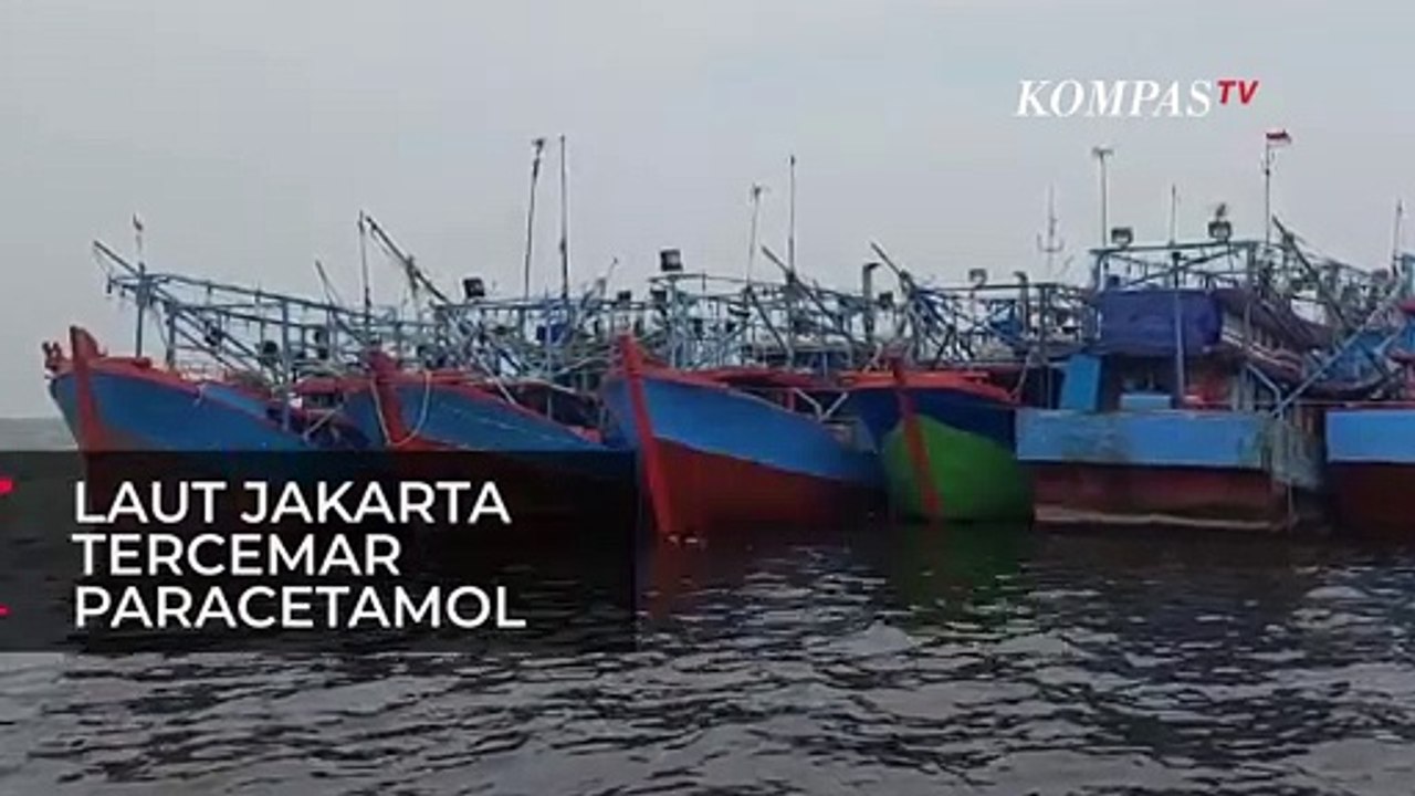 Laut Jakarta Tercemar Paracetamol, Pemprov Teliti Kandungan Air