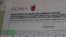 Elezioni: aperti i seggi, al voto 12 milioni di italiani