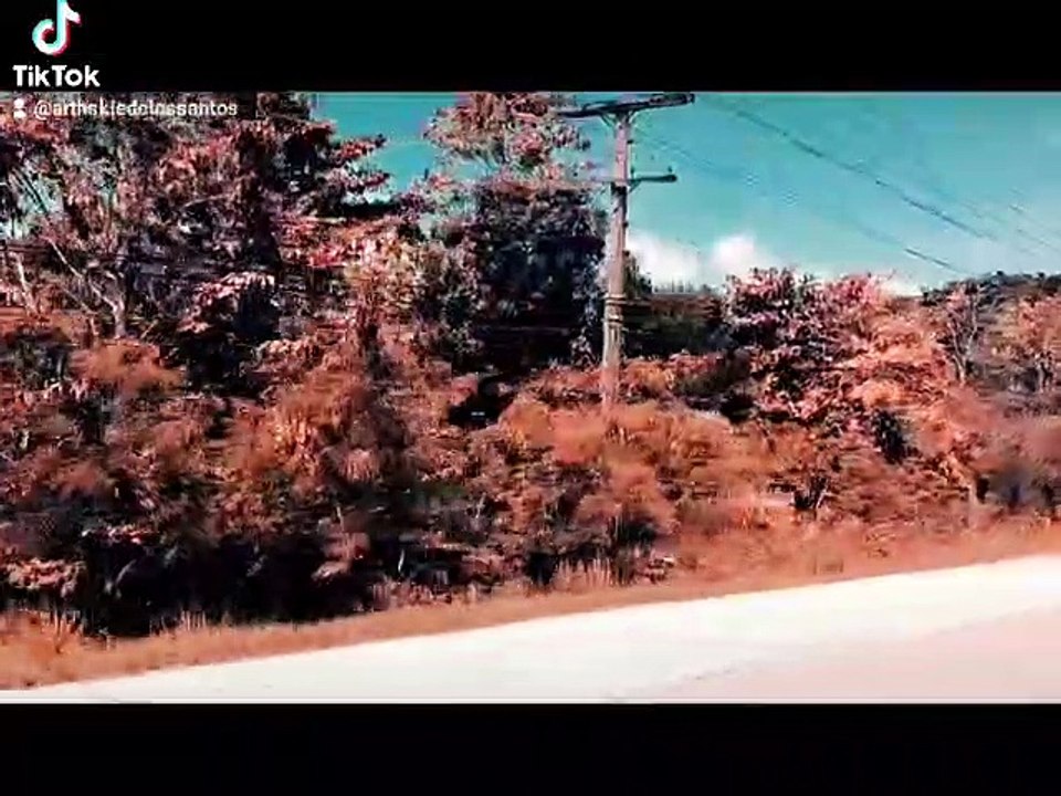 Going Home