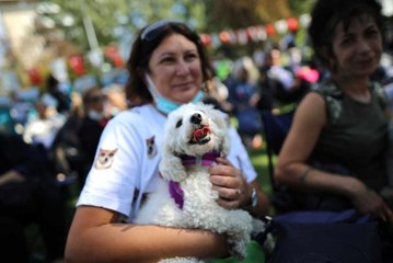 Nilüfer'de 'Can Dostlarım Şenliği'