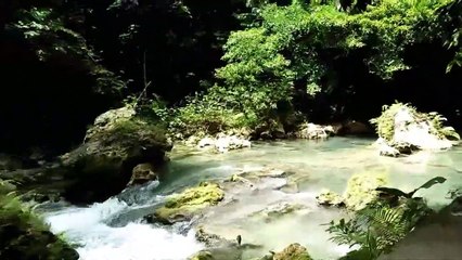 From Oslob To Kawasan Falls