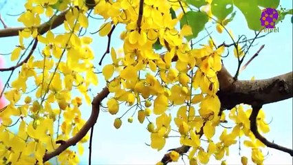 intro-logo-15-min-20210923-212541