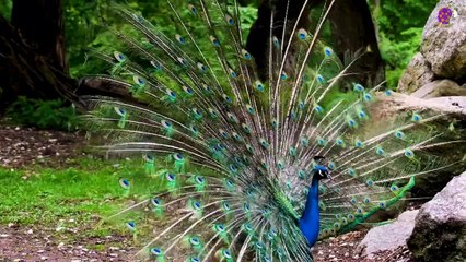 intro-logo-15-min-20210923-212743