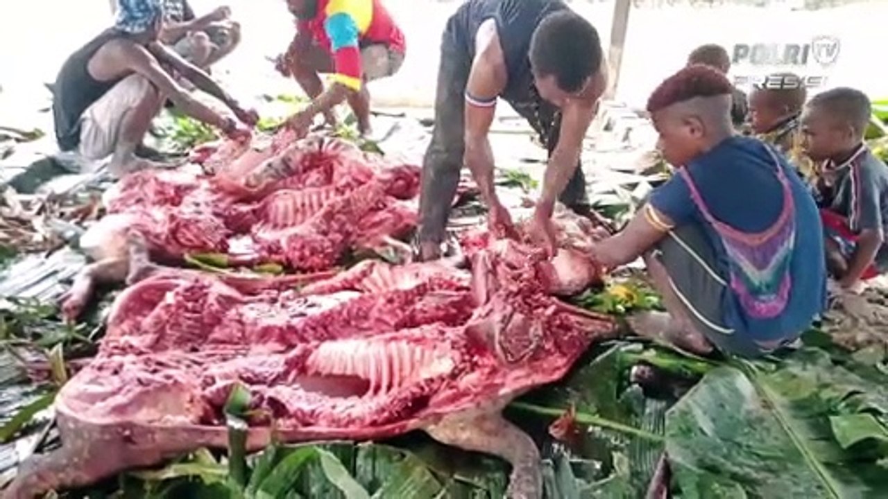 Tradisi Bakar Batu Bagi Masyarakat Pegunungan Tengah Papua