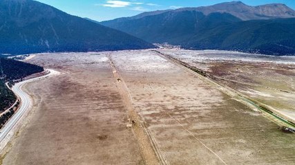Son dakika haberi! KURUYAN AVLAN GÖLÜ'NDE, HAYVANLAR OTLUYOR