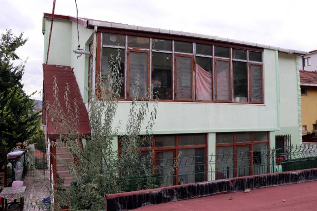 Engelli can dostlar, hayvansever kadının şefkat eliyle hayata tutunuyor