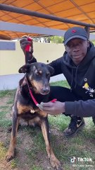 Top Trending   The Best TikTok Videos Compilation - Ep. #46