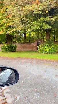 Gaëlle mariée : Précieuses images de son mariage à la campagne.