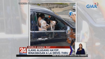 Ilang alagang hayop, binasbasan a la drive-thru | 24 Oras Weekend