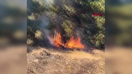 Video herunterladen: İZMİR'DE OTLUK ALANDA BAŞLAYAN YANGIN ORMANA SIÇRADI