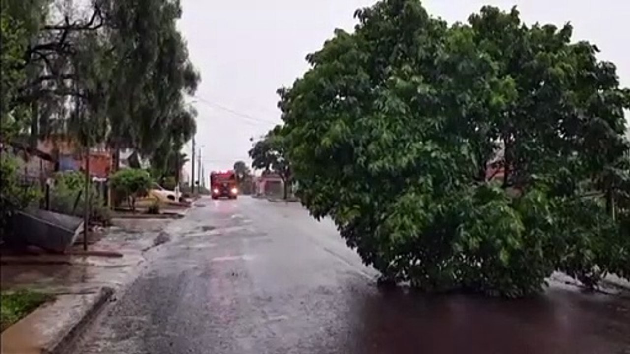 Corpo de Bombeiros é acionado para poda de árvore no Bairro Cascavel Velho