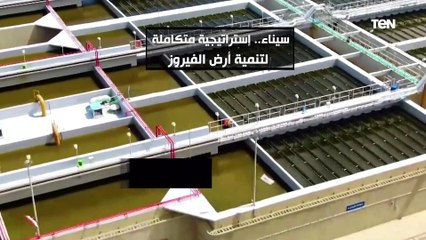 سيناء ..إستراتيجية متكاملة لتنمية أرض الفيروز
