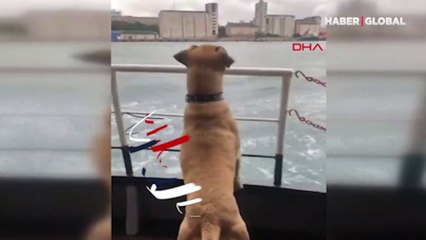 Boji'nin İstanbul keyfi! Bu sefer de vapurda