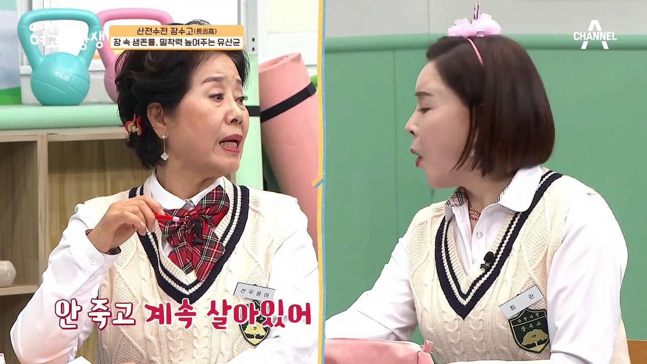 장 속에 들어가도 녹지 않고 붙어있는 유산균? 일반 유산균과 밀착 유산균의 차이는?