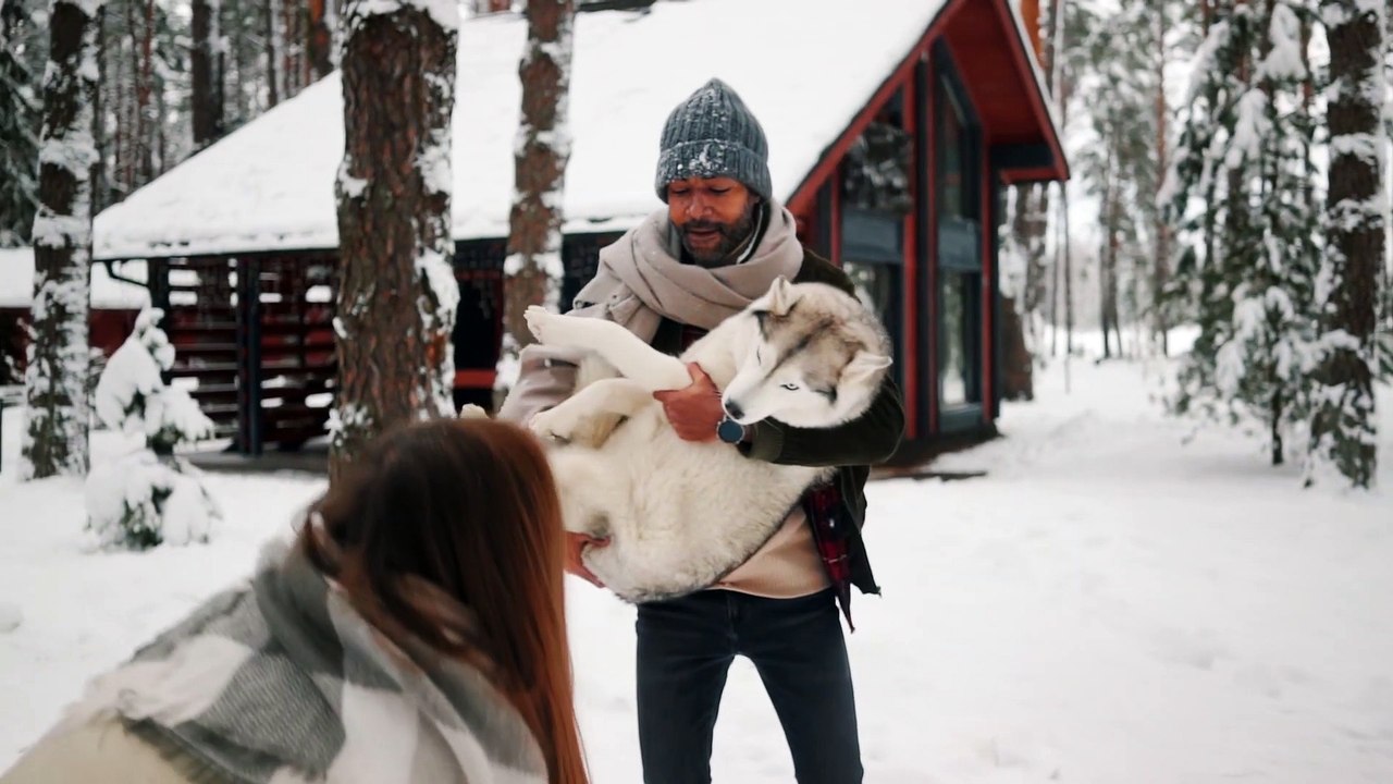 funny dog in snow