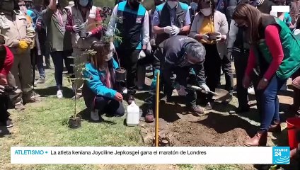 Bolivia: antiguo basurero de La Paz será convertido en un bosque