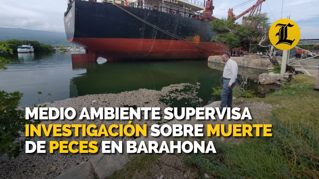 Ministro de Medio Ambiente supervisa trabajos de investigación sobre muerte de peces en Barahona