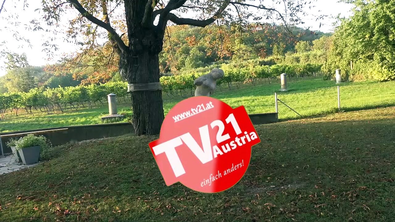 7000 Jahre Menschenbild in der Skulptur  - Langenzersdorfer Museumstag