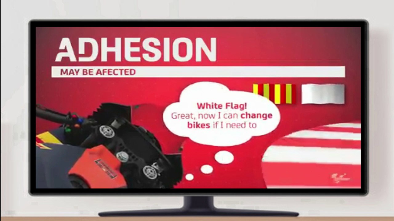 MotoGP FlagsMeaning