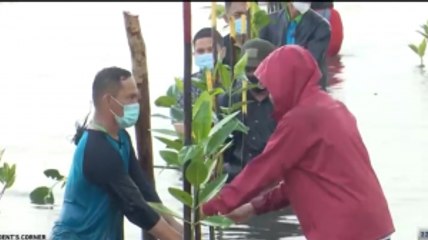 Bersama Jaga Hutan Mangrove!