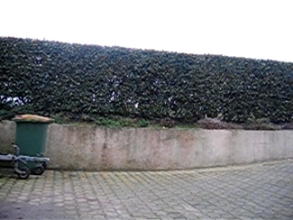 MVI_1746