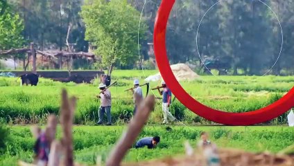 ...الاصطناعية كبير بلا شك . يقوم توم سيجارة...