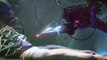 Alien Invaders | Wesley Snipes | Film Complet en Français | Sci-Fi, Mystère, Action