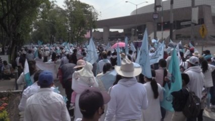Miles de personas marchan en Ciudad de México en contra del aborto