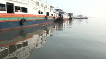 Pemprov DKI Dalami Temuan 2 Teluk Jakarta Tercemar Paracetamol