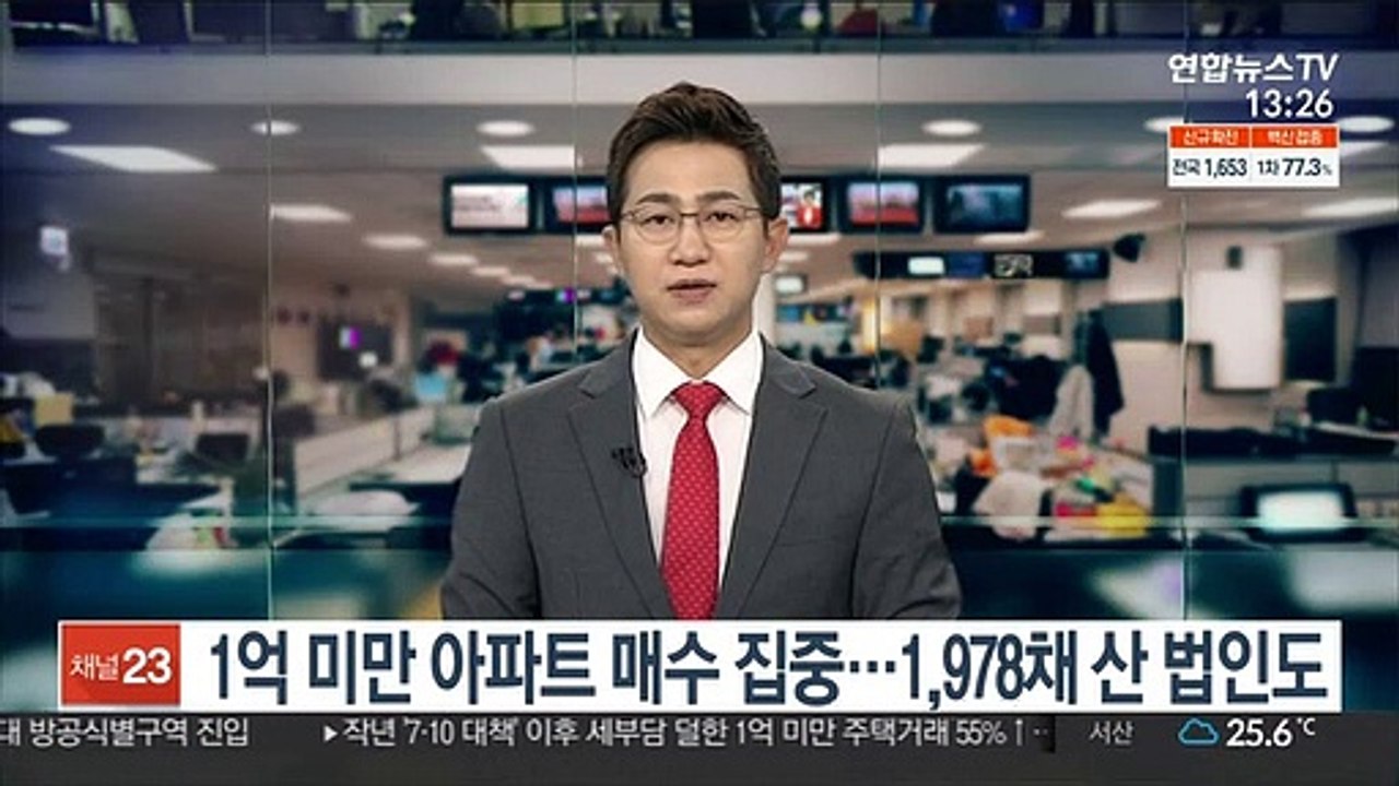 1억 미만 아파트 매수 집중…1,978채 산 법인도