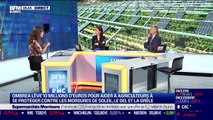Julie Davico-Pahin (Ombrea) : Ombrea lève dix millions d'euros - 04/10