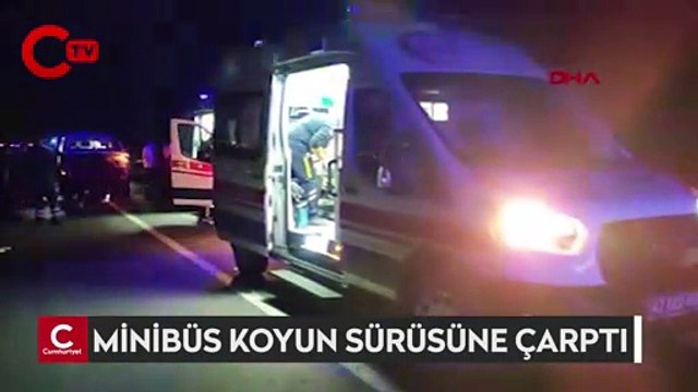 Minibüs koyun sürüsüne çarptı: 6 yaralı, 34 koyun öldü