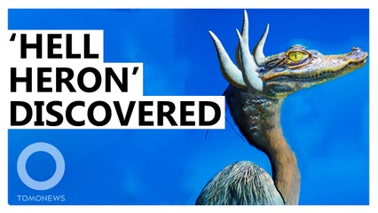 ‘Horned Crocodile-Faced Hell Heron’ Dinosaur Discovered
